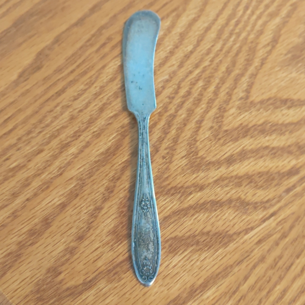 Vintage Carlton Silver Plate Butter Knife